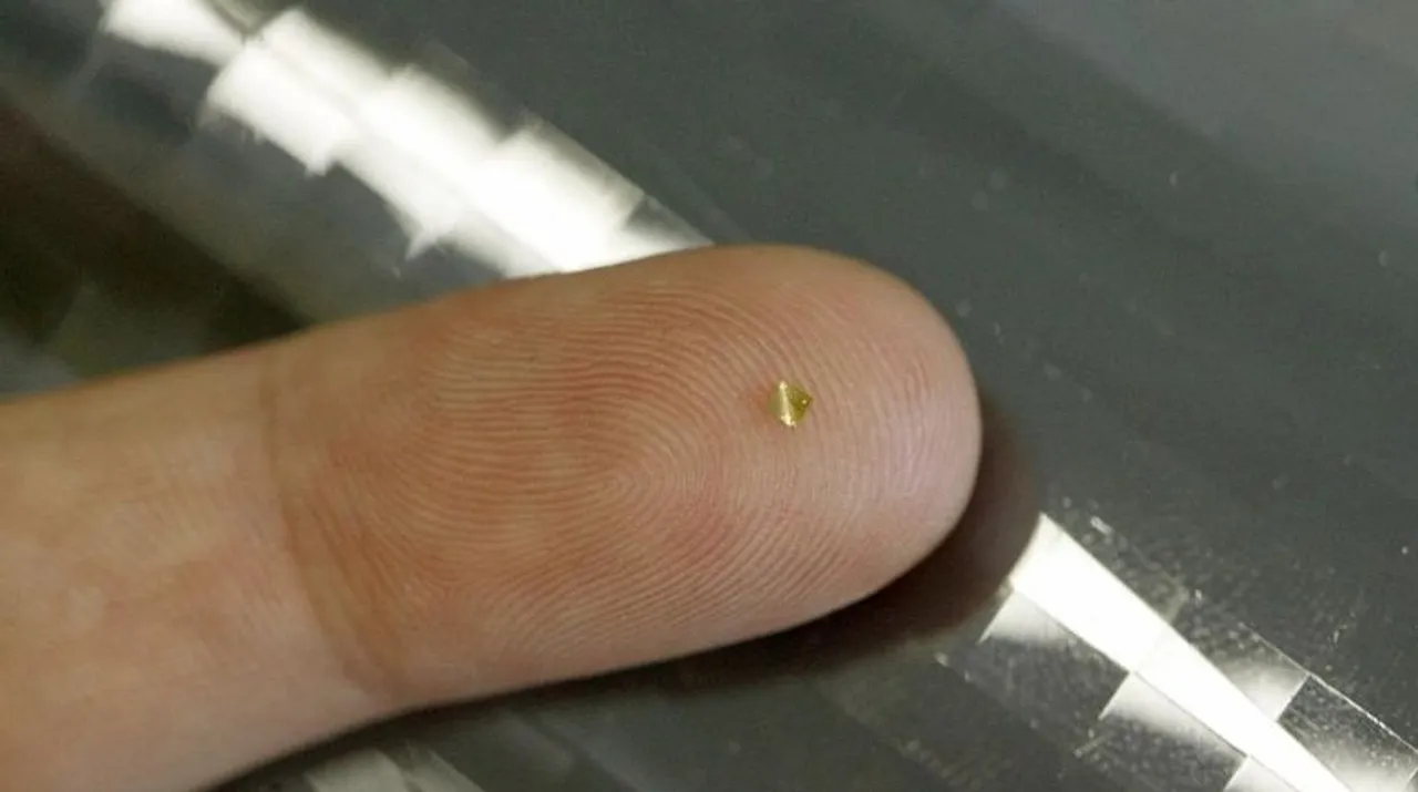  rice-sized microchip that stores coronavirus data Photograph:(X) 