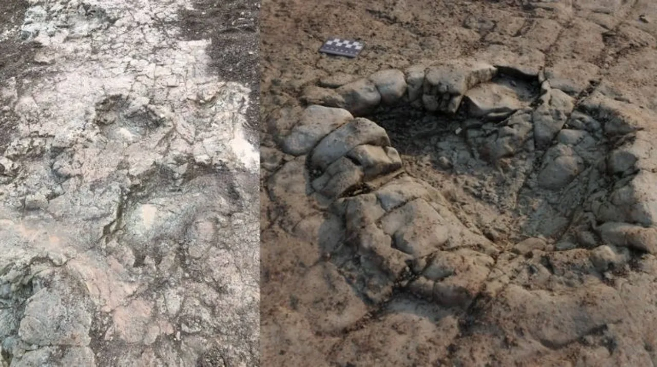  Footprints of an early dinosaur have been discovered on a beach in Wales, the UK (Pic Courtesy: NHM London/Peter Falkingham).  Photograph:(Others) 