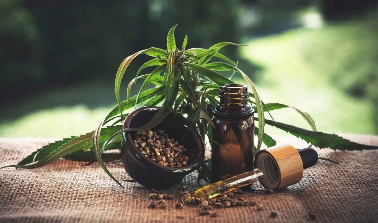  Cannabis Photograph:(Others) 