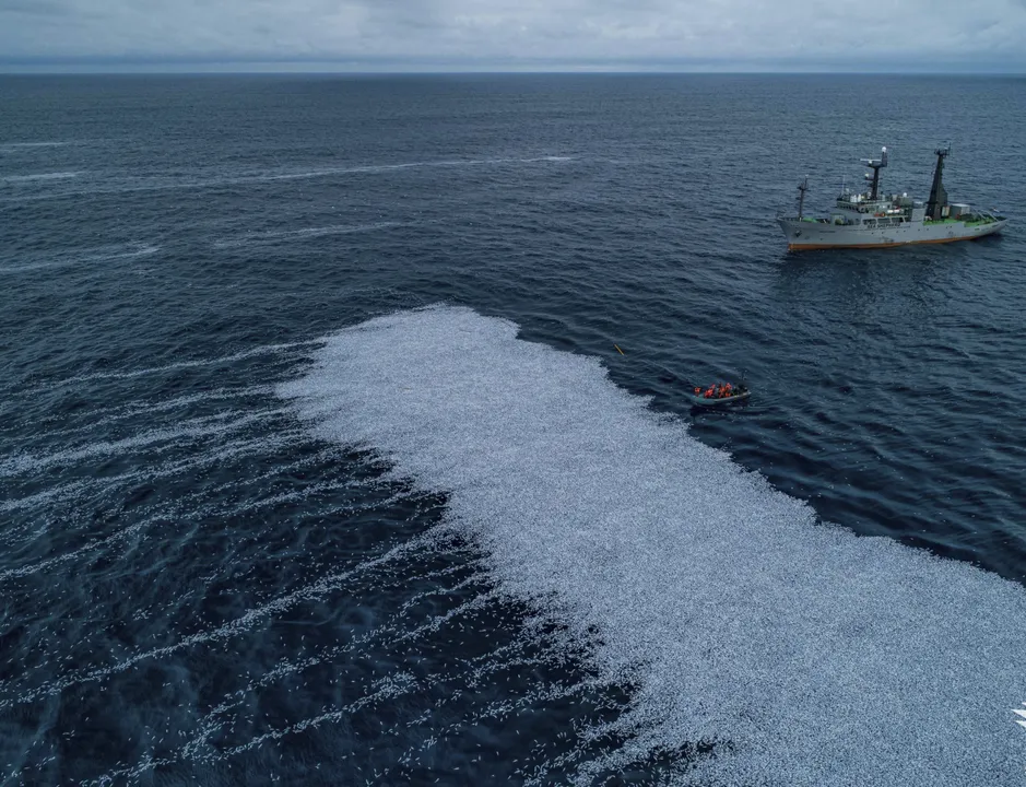  The spill, which took place in early Thursday, was caused by a tear in the trawlerâs net Photograph:(X) 