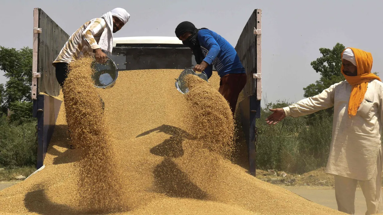  India bans wheat export  Photograph:(The New York Times) 