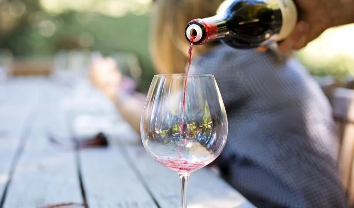  How much alcohol to drink at what age? The Lancet study reveals Photograph:(WION) 
