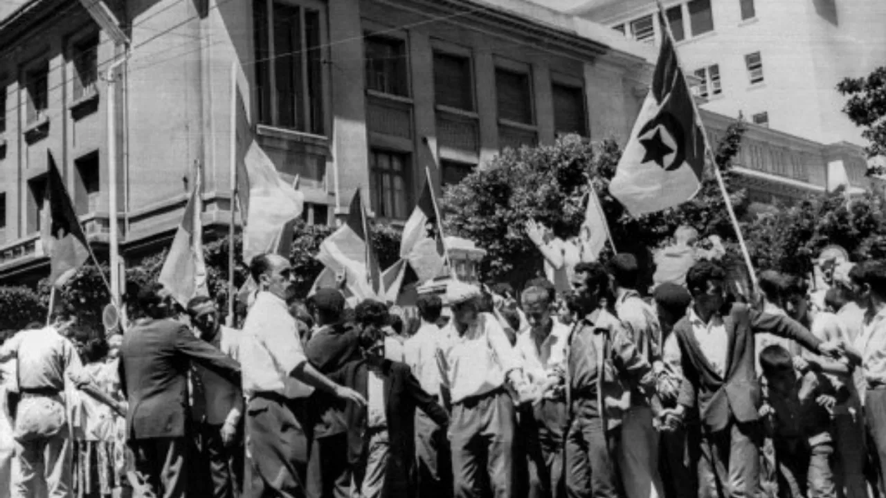 Algeria celebrates independence  Photograph:(AFP) 