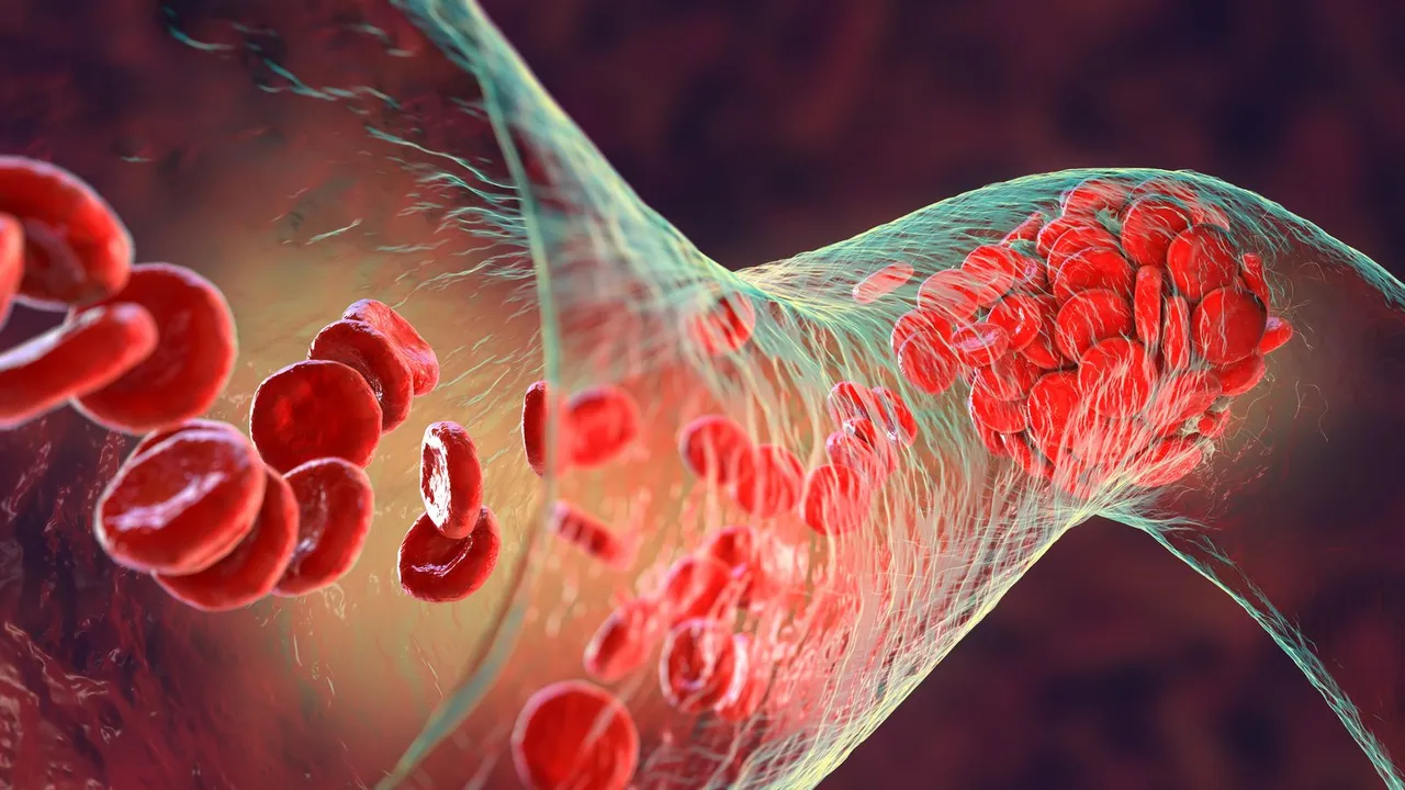  Red Blood cells Photograph:(X) 