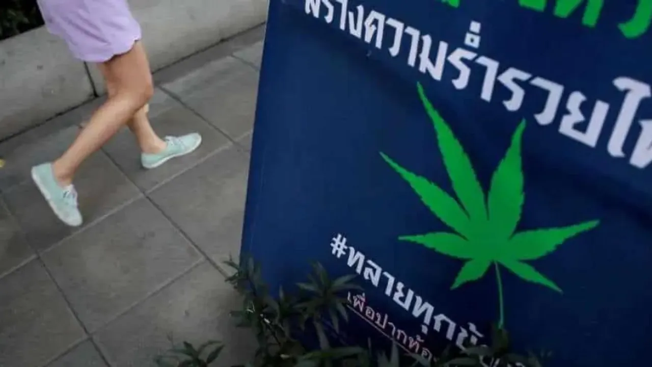  Many business owners, who have reaped profits ever since cannabis was decriminalised, support greater regulation Photograph:(Reuters) 
