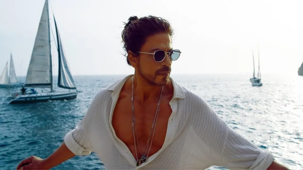  Shah Rukh Khan in a still from 'Pathaan'  Photograph:(Instagram) 