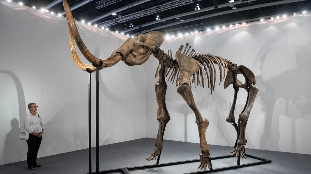  Woolly mammoth Photograph:(AFP) 