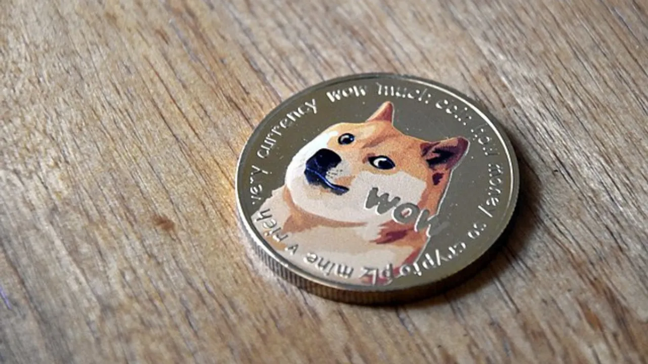  dogecoin Photograph:(Others) 