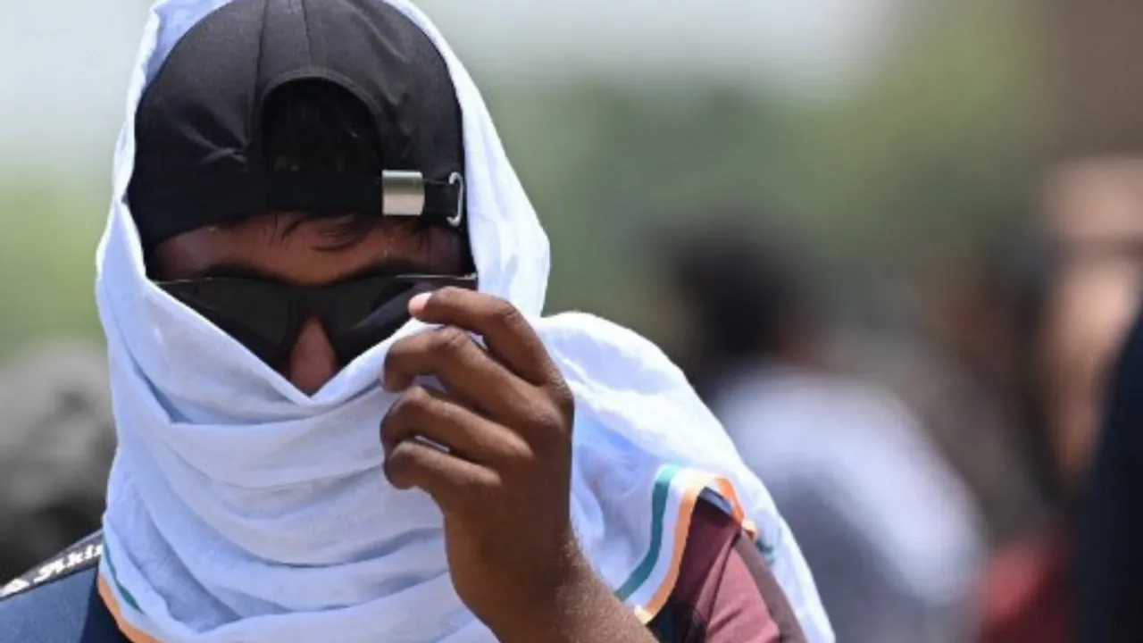  IMD issues heatwave warning in Delhi as temperatures recorded were over 44 degrees Celsius Photograph:(AFP) 