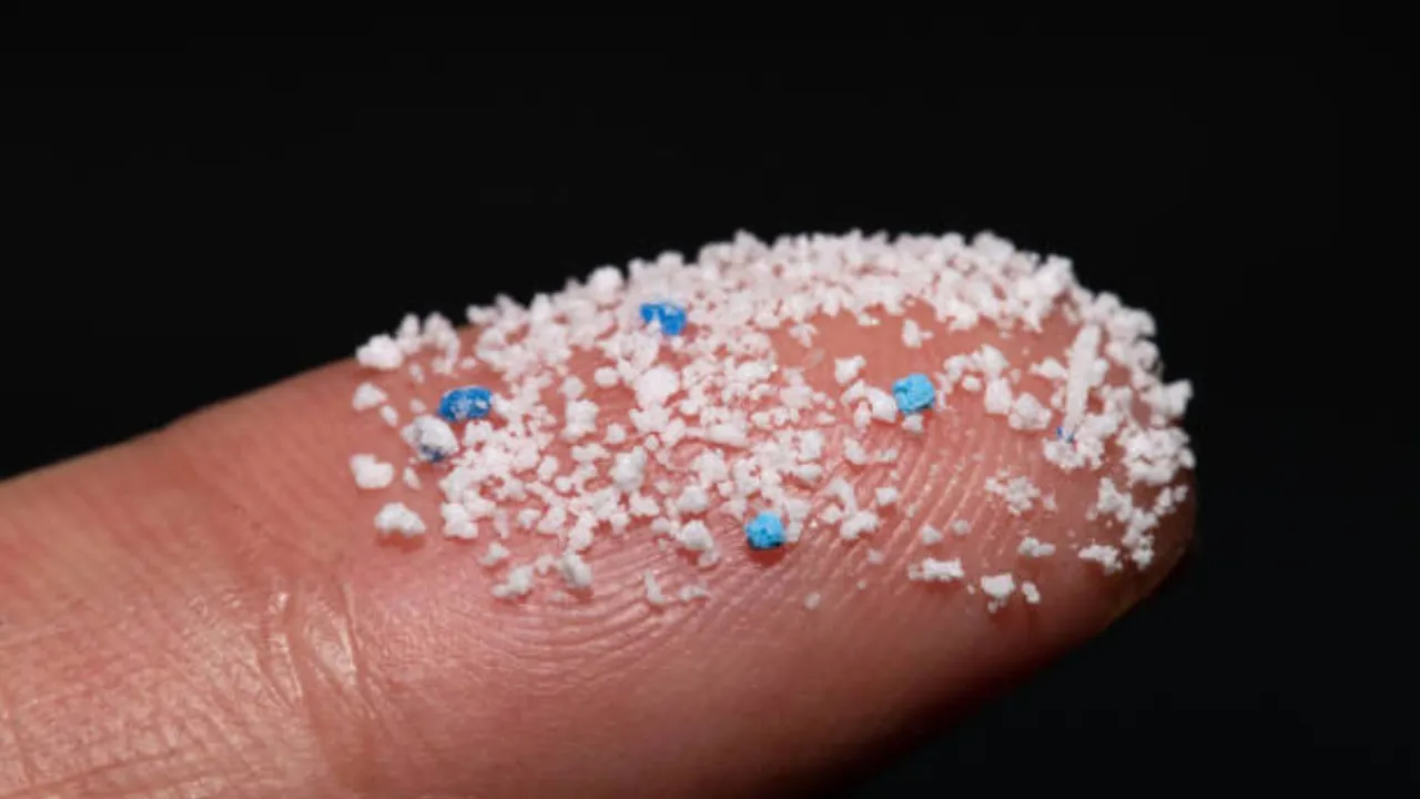  Microplastics  Photograph:(Others) 