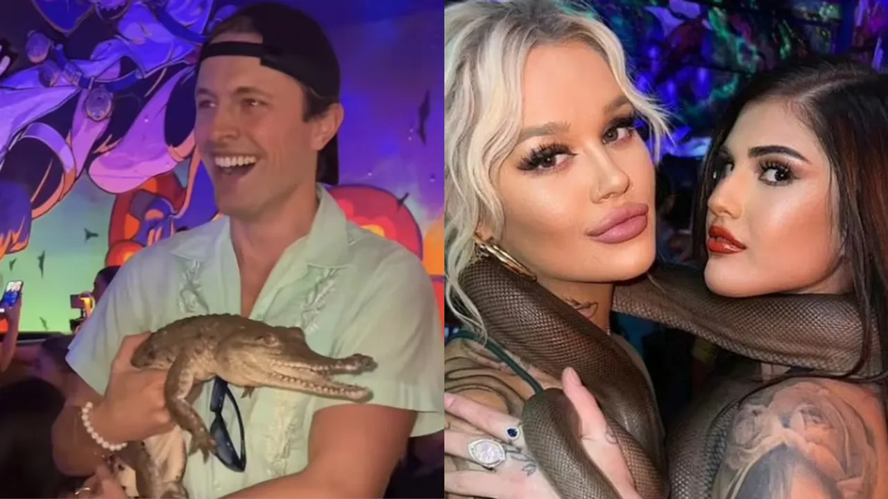  Influencers at the relaunch party of the Melbourne club can be seen posing with the snakes and crocodiles Photograph:(X) 
