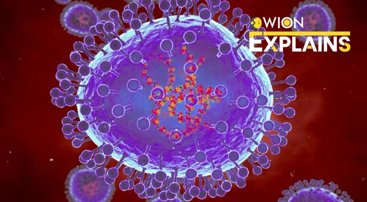  Representational image of virus. Photograph:(X) 
