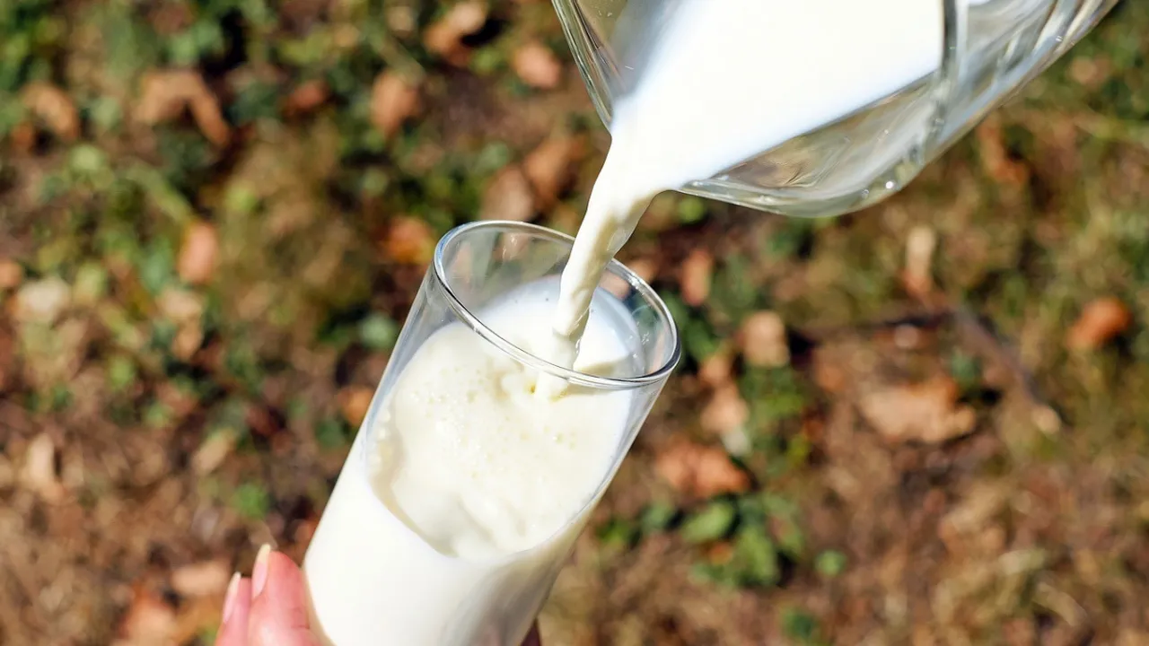  World Milk Day Photograph:(Others) 