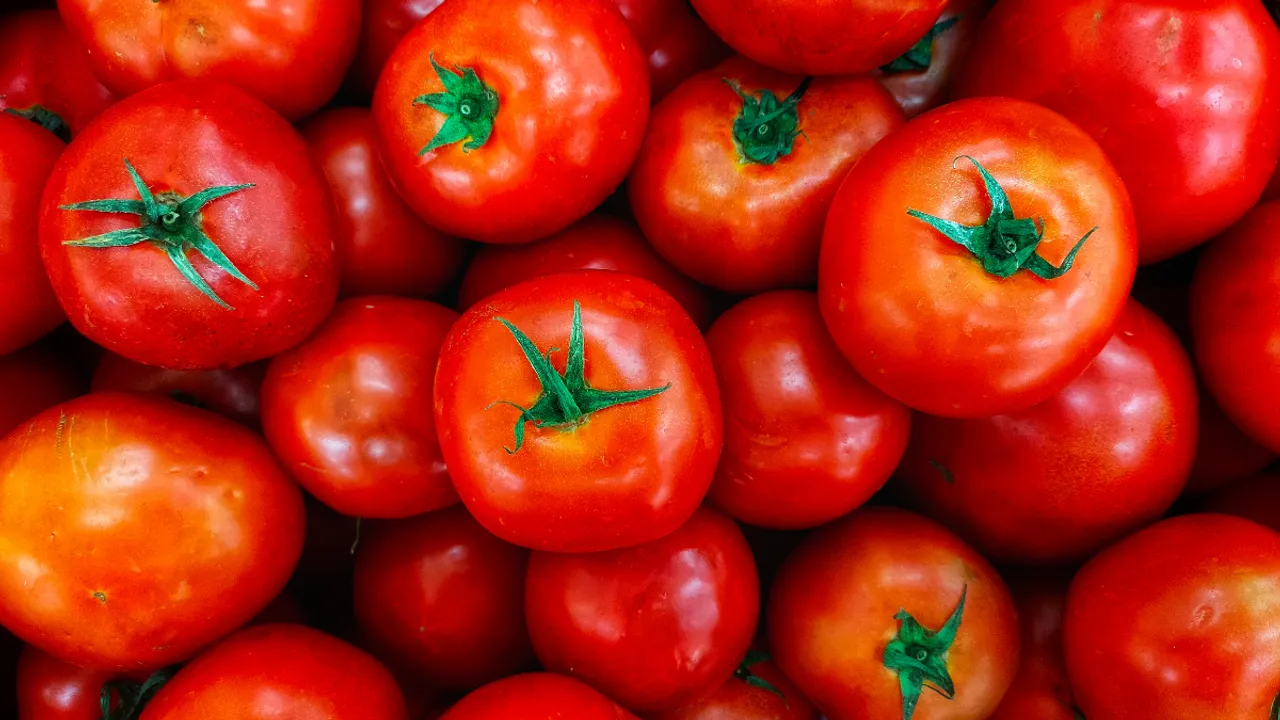 Tomatoes price Photograph:(Others) 
