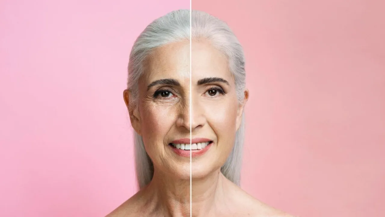  Chinese scientists discover anti-ageing factor in young mice blood, extending lifespan up to 120-130 human years. Photograph:(Others) 