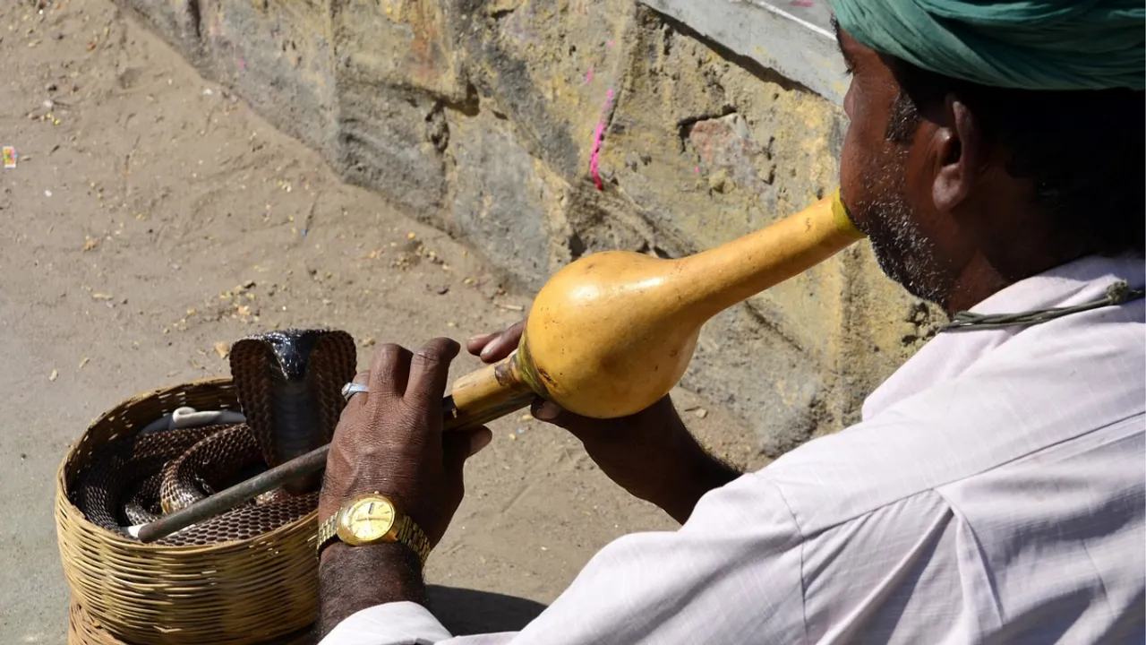  Snake Charmer Photograph:(Others) 