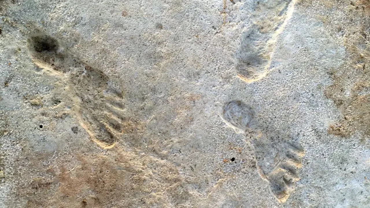  Ancient human footprints at White Sands national park in New Mexico Photograph:(Reuters) 
