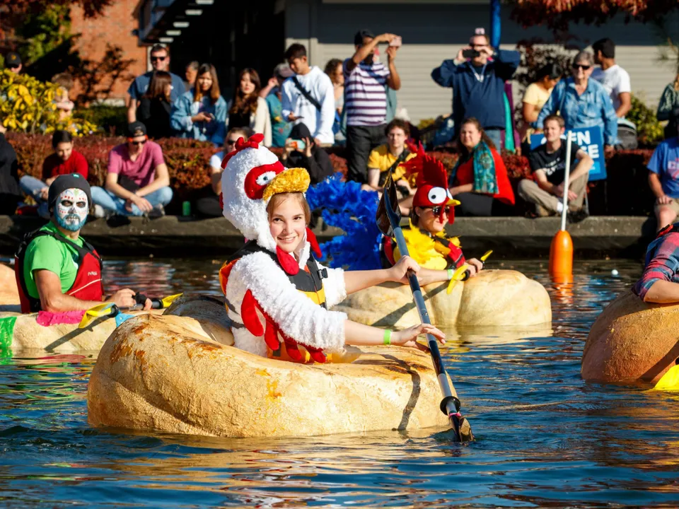  Pumpkin regatta  Photograph:(X) 