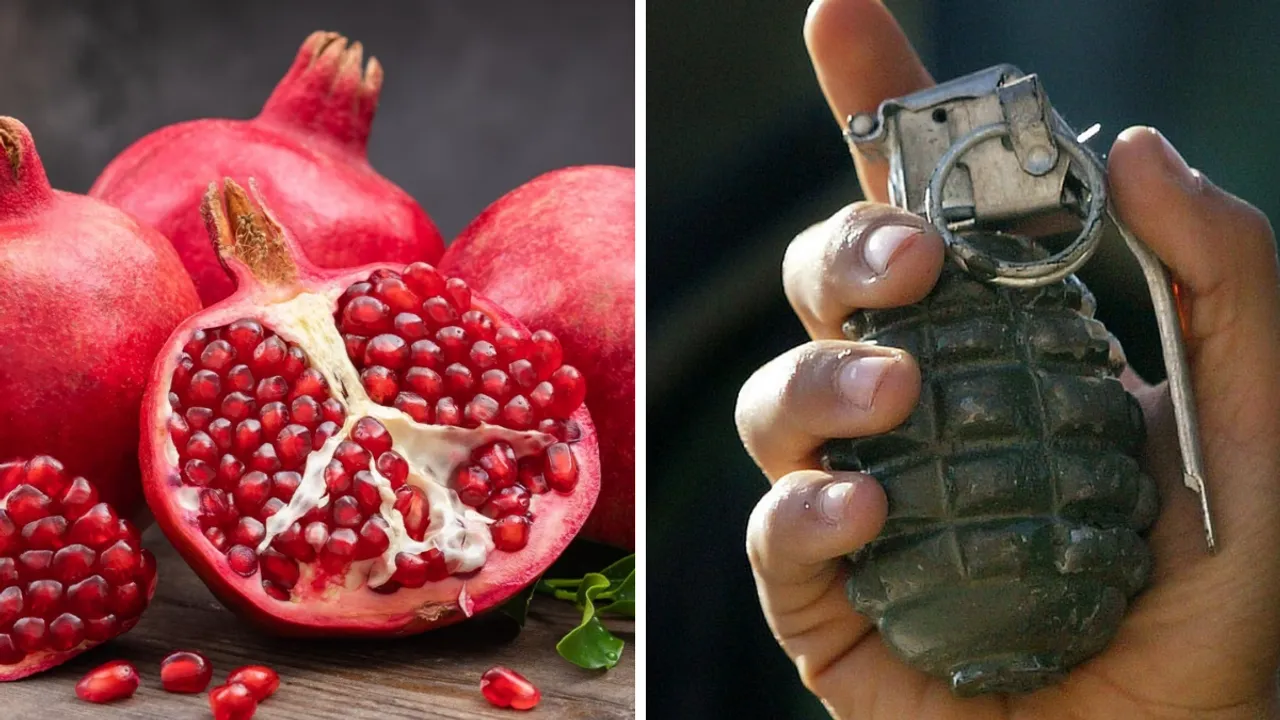  Pomegranate and grenade Photograph:(Agencies) 