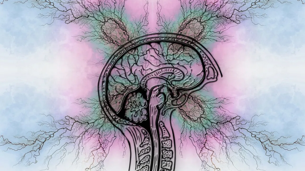  Epilepsy Awareness Month Photograph:(Others) 