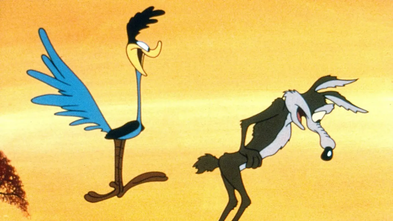  Coyote vs. Acme Photograph:(Others) 