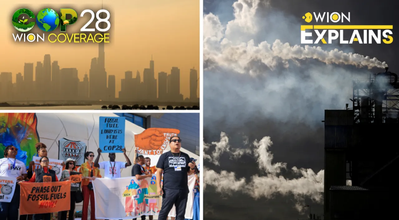  COP28 summit explainer Photograph:(Agencies) 