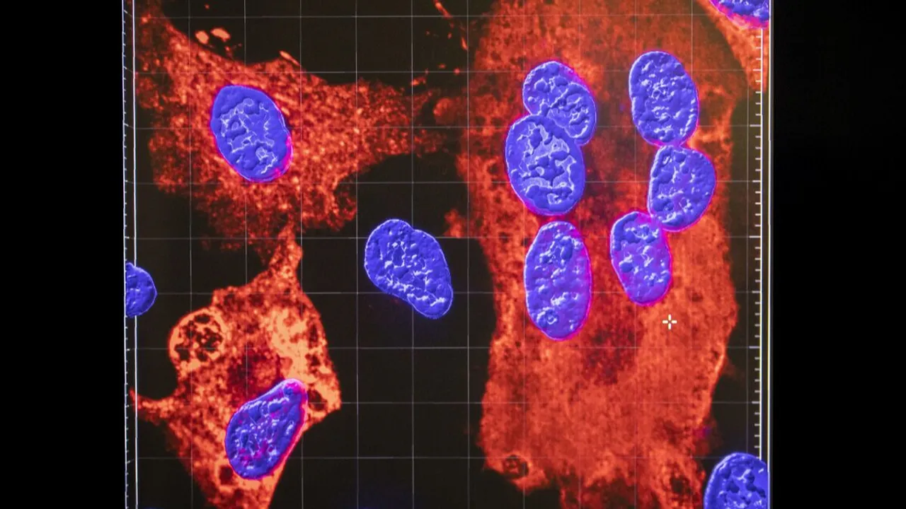  File photo.  Photograph:(Others) 