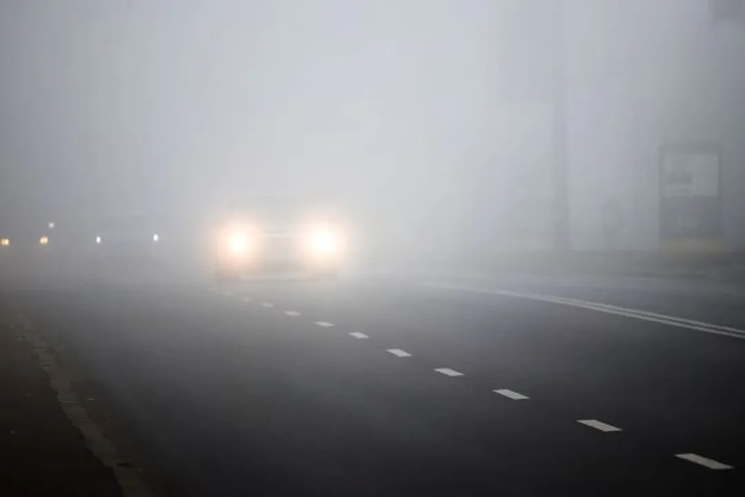  Dense fog conditions to persist in North India for next 3 days (Representative image) Photograph:(Agencies) 