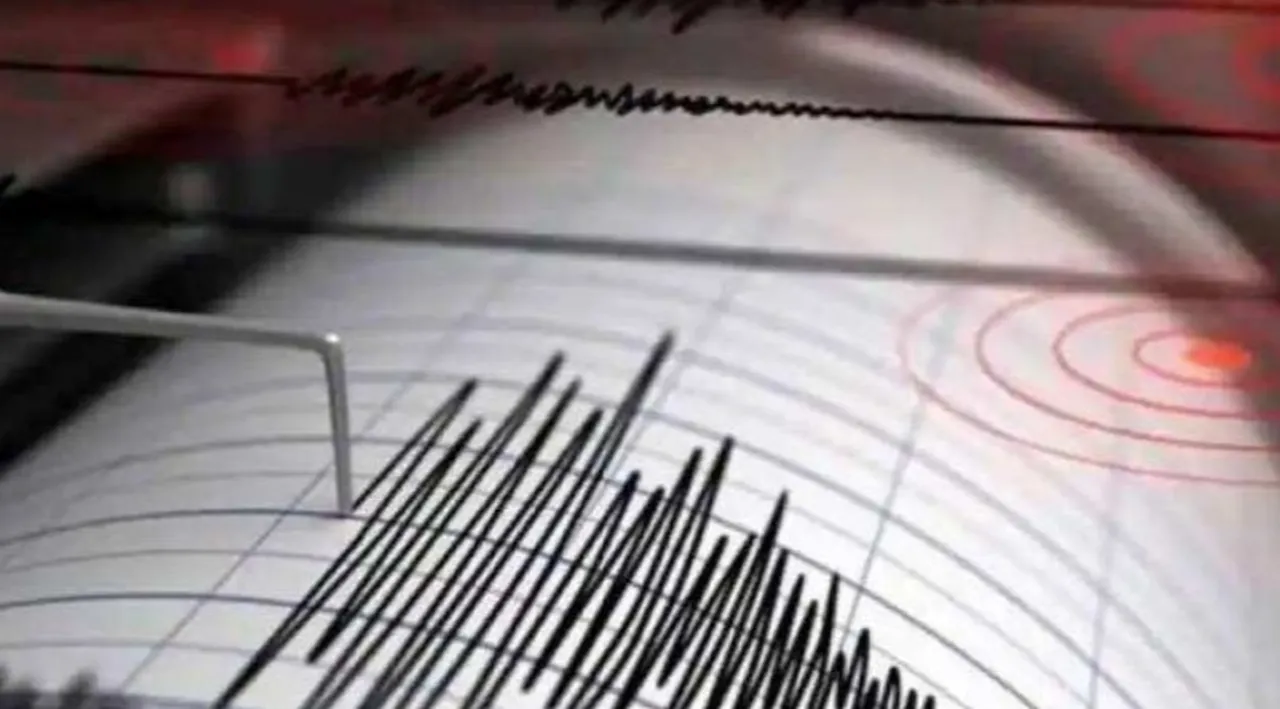  Representative image of a seismograph.  Photograph:(Others) 