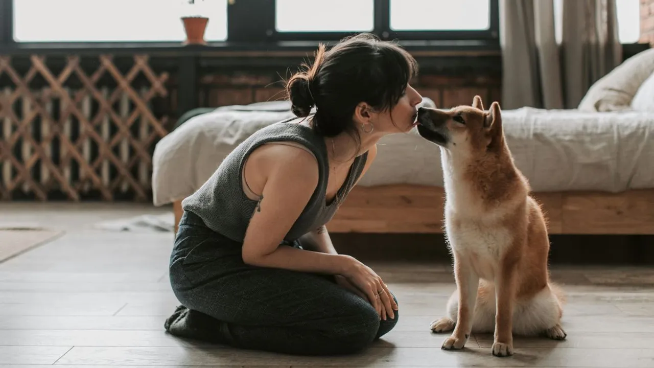  Analysing millions of viral genome sequences, researchers from the University College London Genetics Institute found that humans actually pass on more viruses to animals—about twice as many—as they receive from them. Photograph:(Others) 