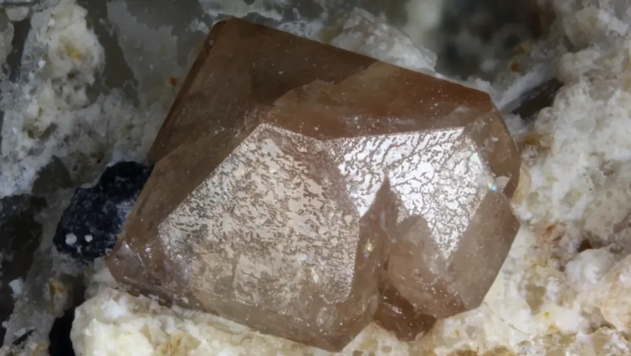  Zircon crystals Photograph:(X) 