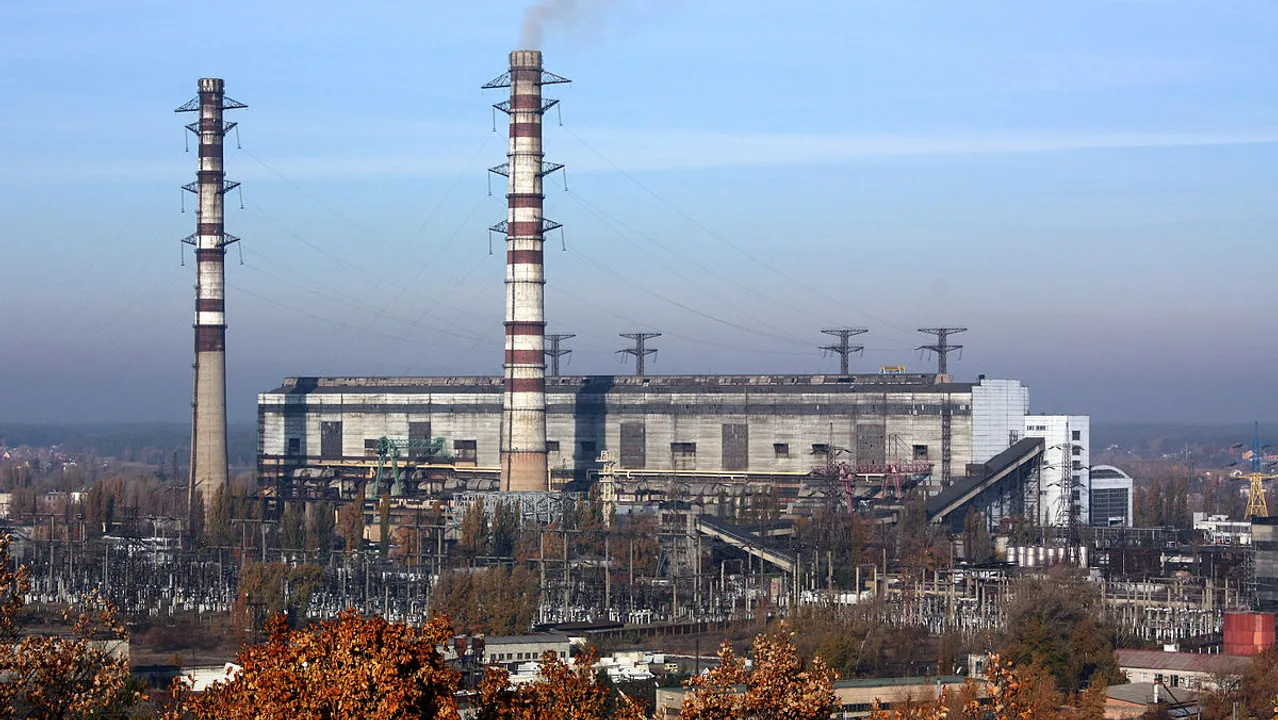  Trypilska plant  Photograph:(X) 