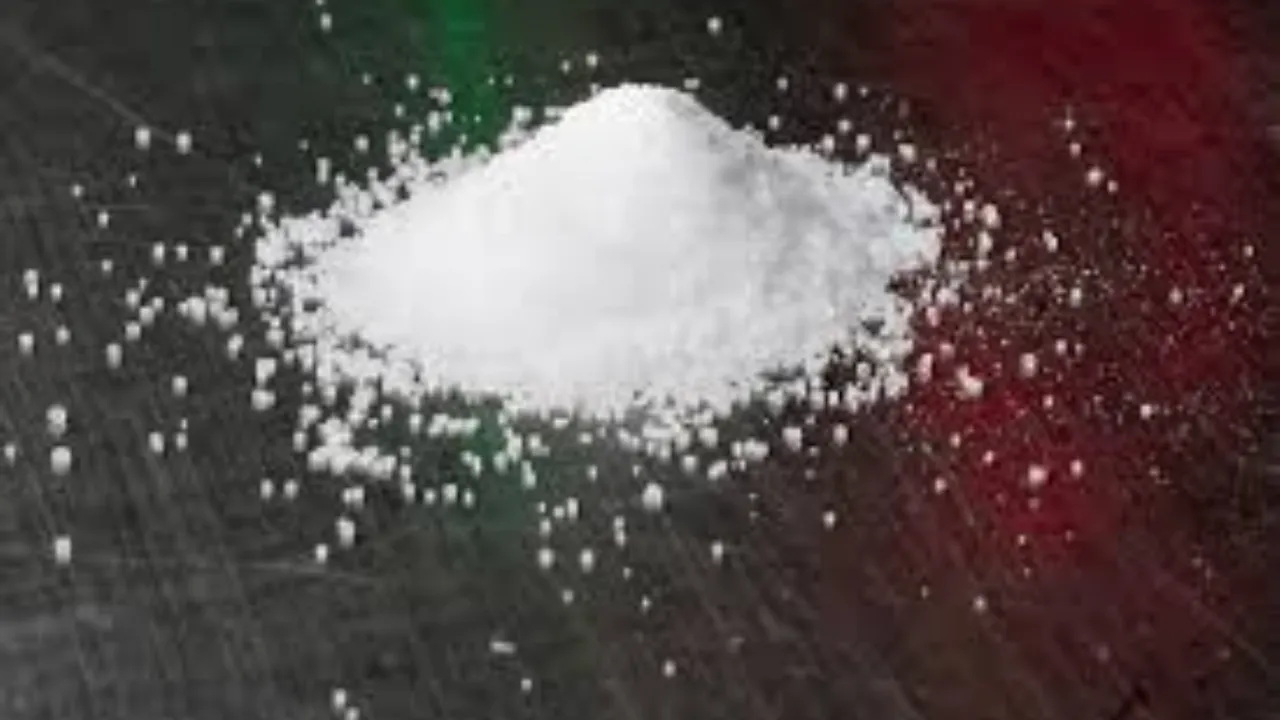  Sodium salt/representative image  Photograph:(Reuters) 
