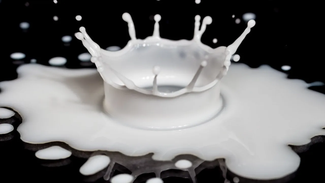  Representational image of milk. Photograph:(Others) 