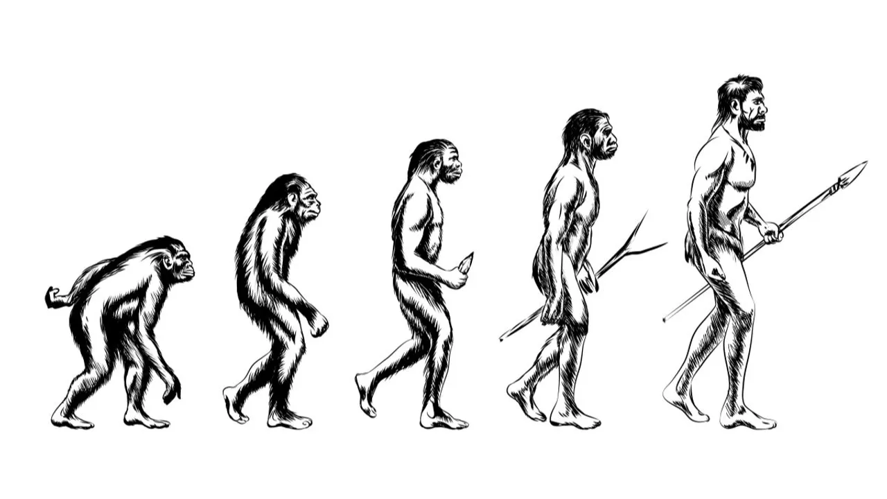 The findings suggest that herpesviruses might have played a significant role in the extinction of Neanderthals, although further testing is required to confirm this hypothesis.  Photograph:(Others) 