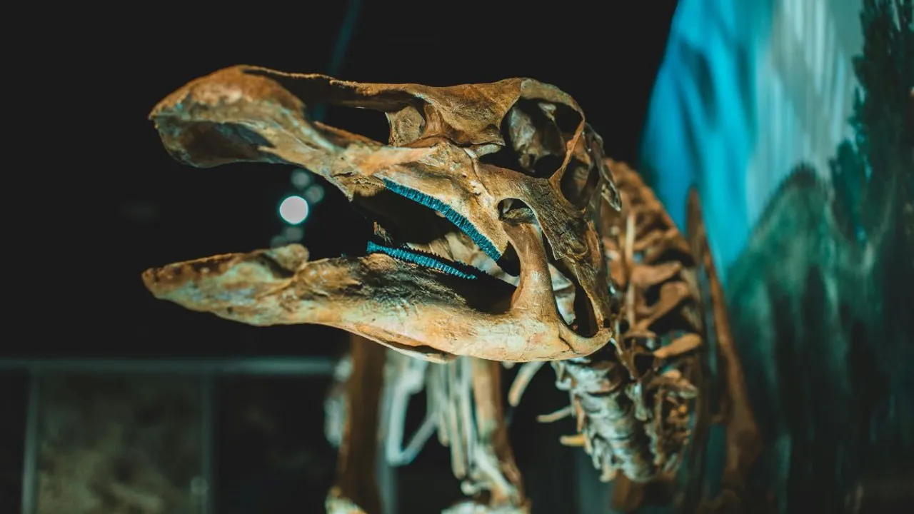  The study published Wednesday (May 15) in the journal Current Biology estimates that the first warm-blooded dinosaurs emerged around 180 million years ago, roughly halfway through their reign on Earth. Photograph:(Others) 