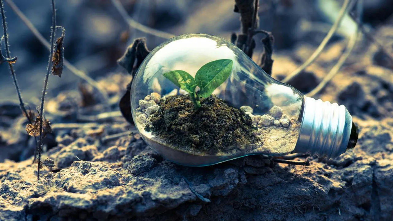  World Environment Day is celebrated annually on June 5 since 1973. It is an attempt to urge people to adopt sustainable practices and realise the need to preserve the Earth.  Photograph:(Others) 