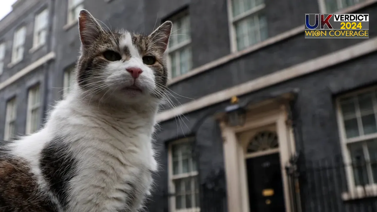  Larry the Cat | X/@No10Cat Photograph:(X) 