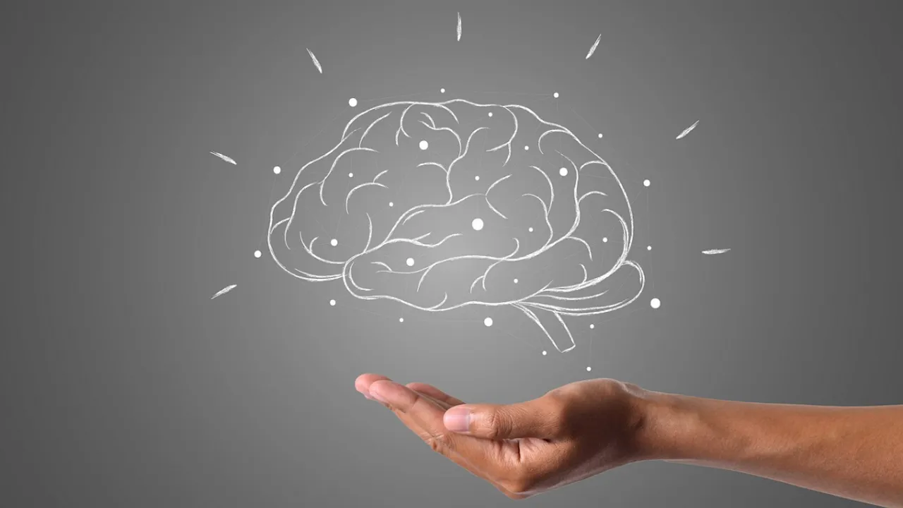  Representational image of human brains. Photograph:(Others) 