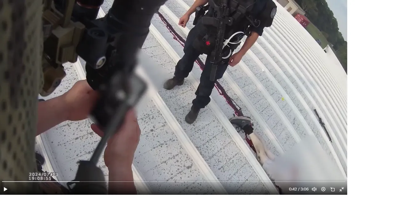  A screengrab of the new video on Trump shooting aftermath Photograph:(X) 