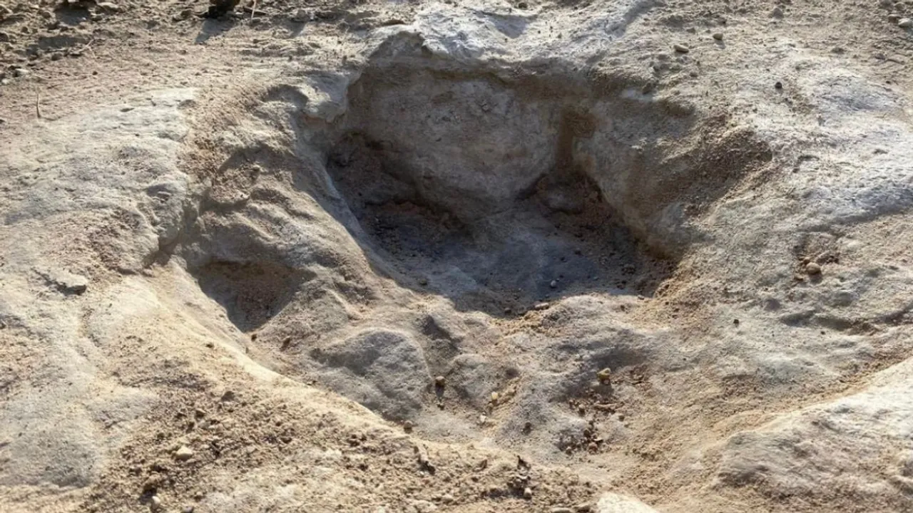  A 10-year-old girl discovered dinosaur footprints on the beach Photograph:(X) 