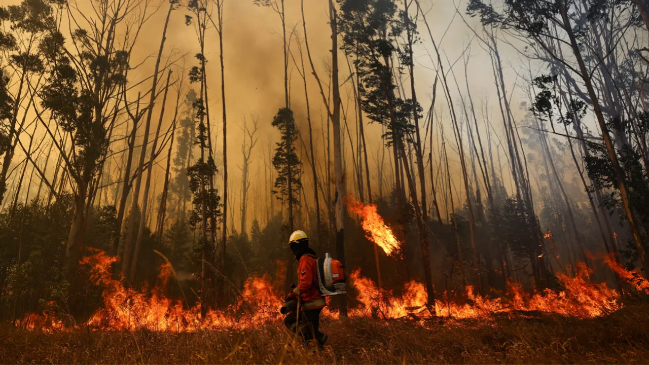 A firefighter works to extinguish a wildfire in an area of Brasilia's National Forest, in Brasilia, Brazil, September 4, 2024. Photograph:(Reuters) 