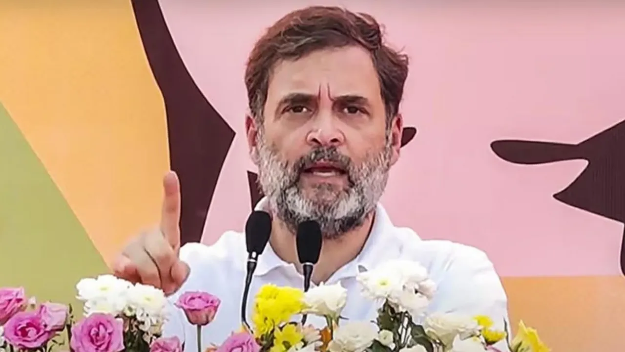  Congress leader Rahul Gandhi Photograph:(PTI) 