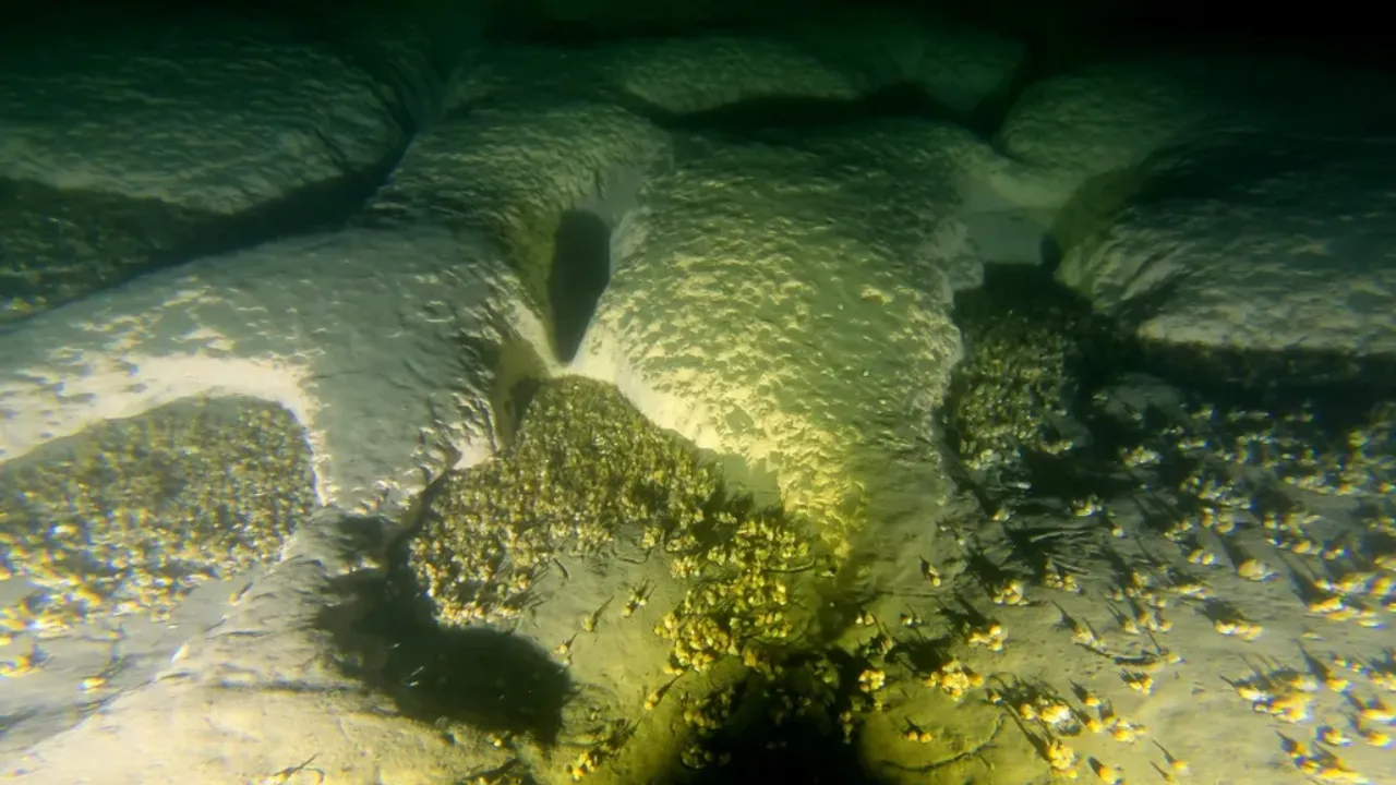  Lake Michigan craters Photograph:(Others) 