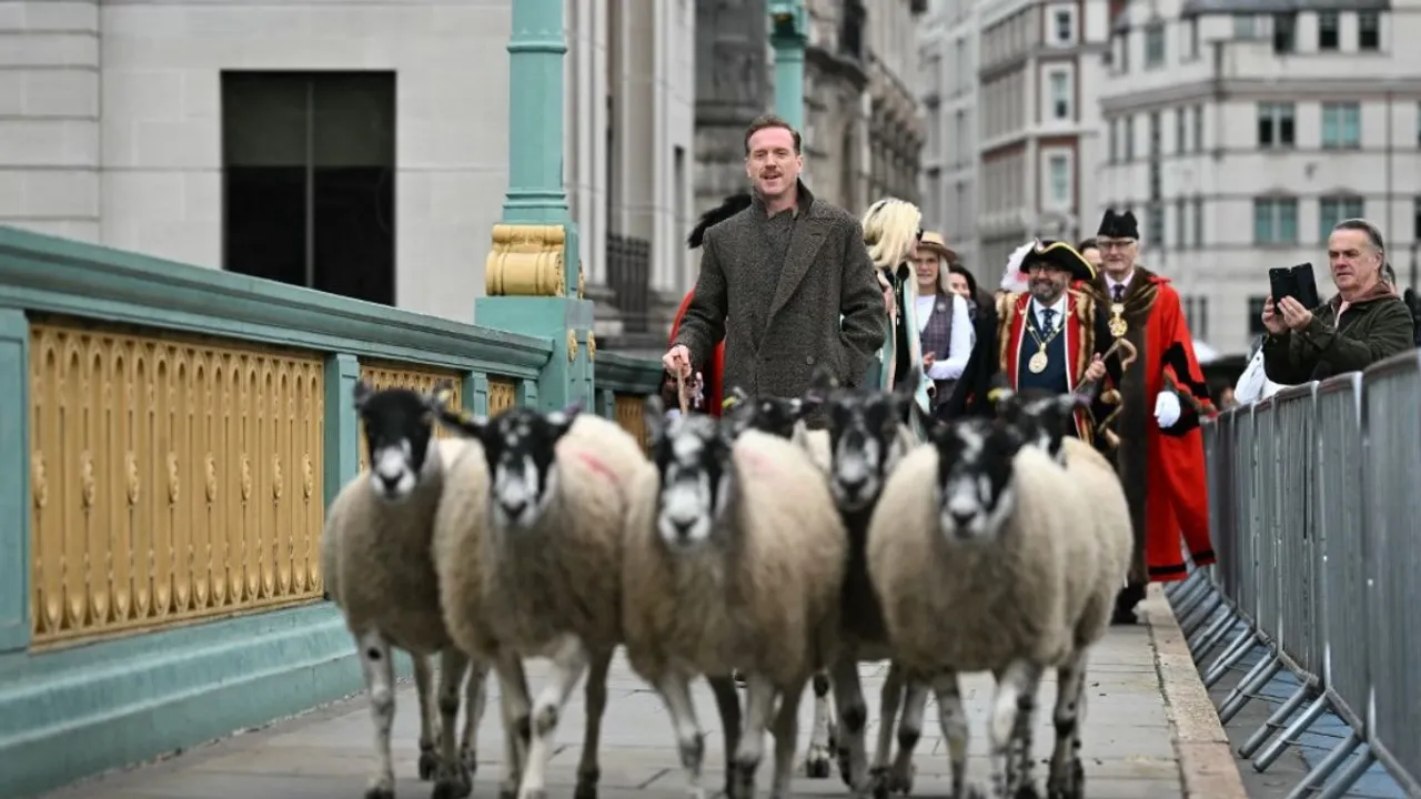  Damian Lewis leads The Worshipful Company of Woolmen, driving sheep across Southward Bridge, during the annual event in London on September 29, 2024 Photograph:(AFP) 