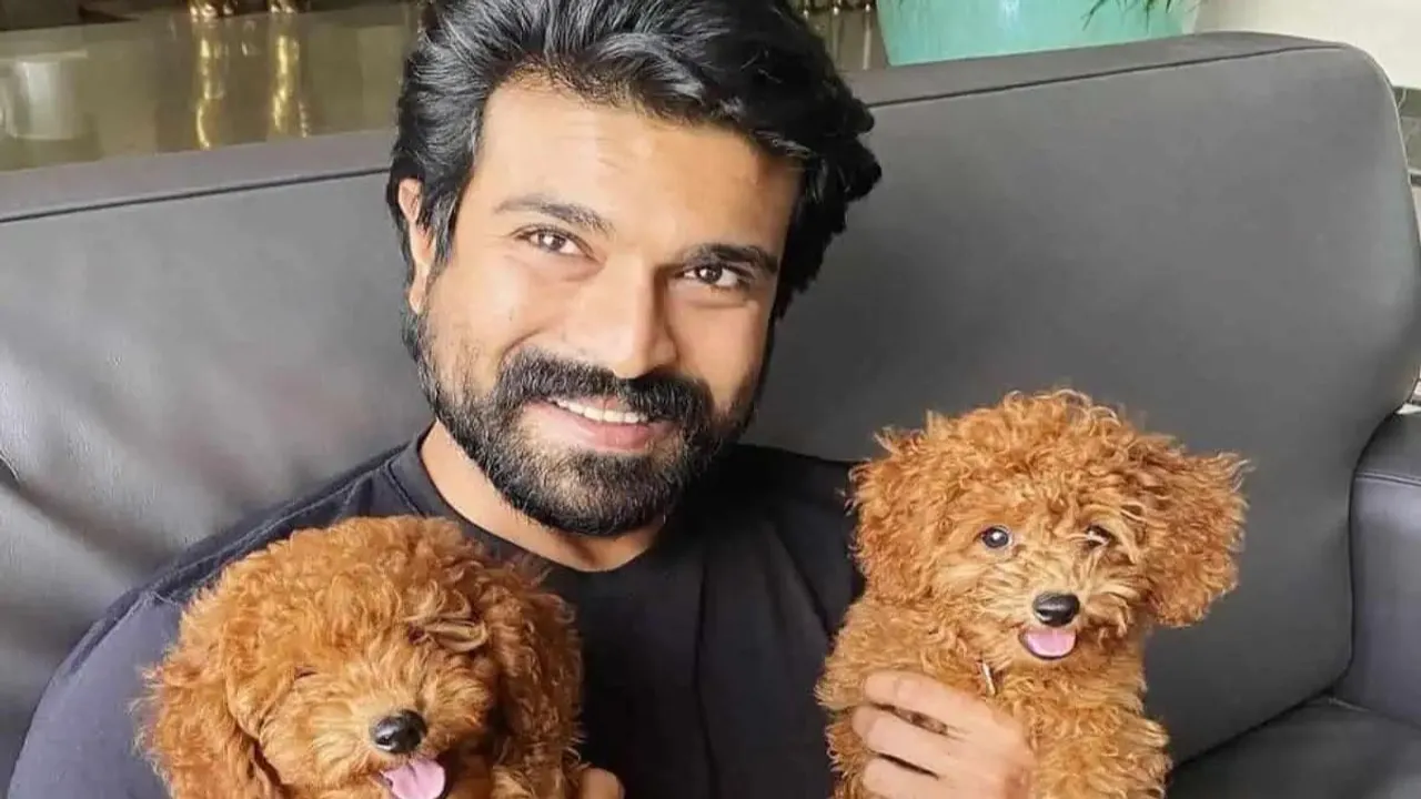  Ram Charan and his dogs Photograph:(Instagram) 