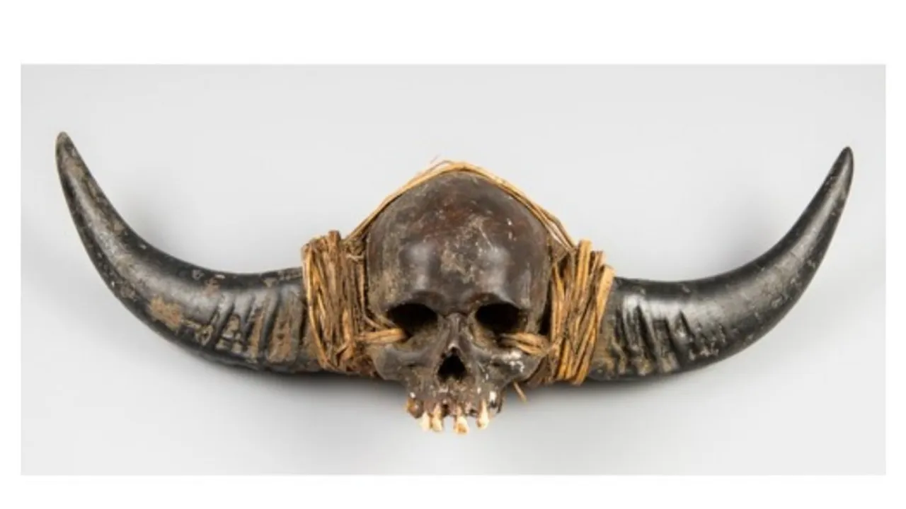  Horned human skull from Nagaland Photograph:(X) 