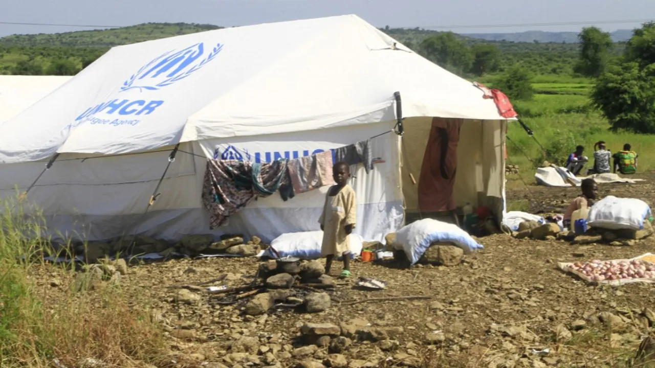  Some 11.3 million people have been forced to flee, including nearly 2.95 million who have fled across the country's borders, according to the latest figures Photograph:(AFP) 