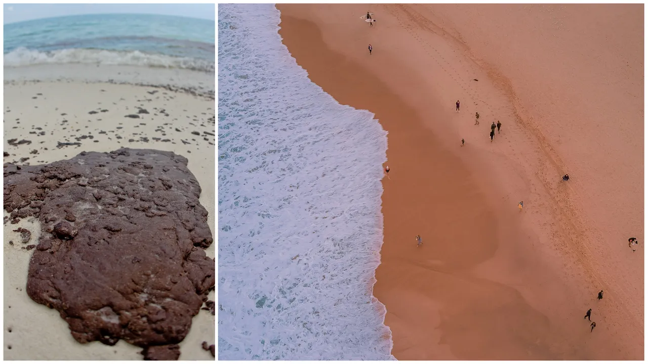  Appearance of black balls along Sydney beaches caused fears of an oil spill Photograph:(Others) 