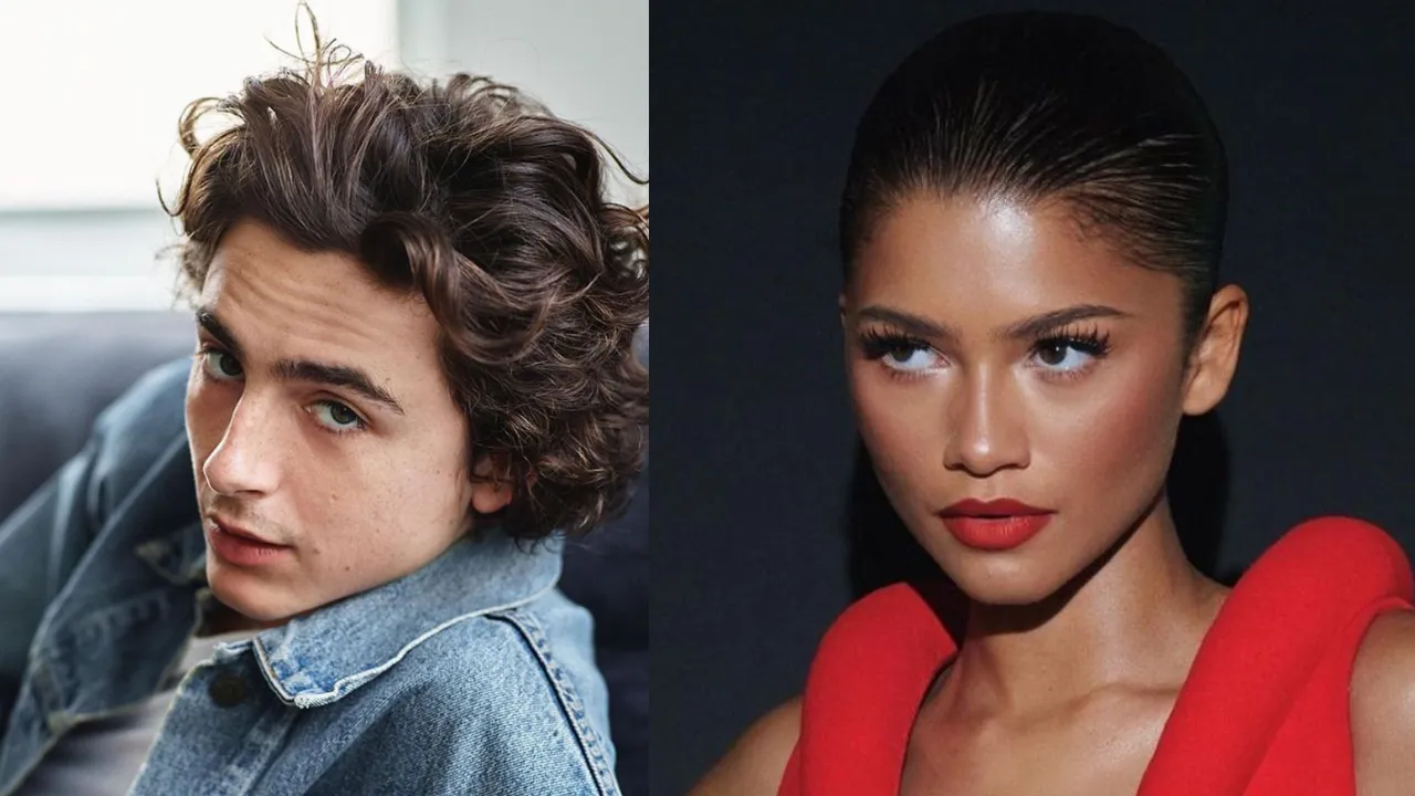  Timothee Chalamet and Zendaya Photograph:(Instagram) 